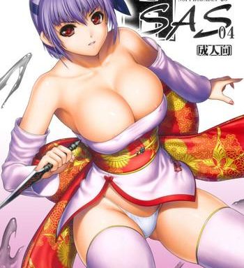 h sas 04 cover 2