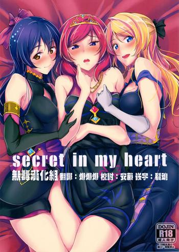 secret in my heart cover 1