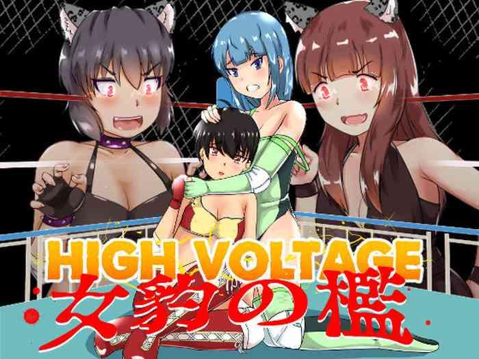 high voltage cover