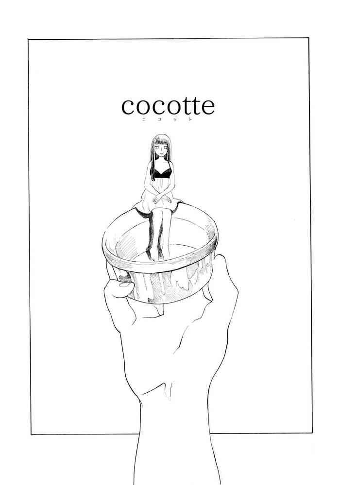 cocotte cover