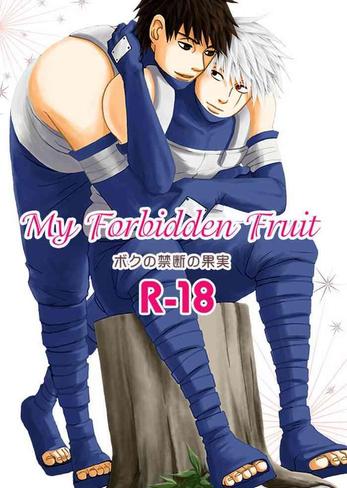 boku no kindan no kajitsu my forbidden fruit cover