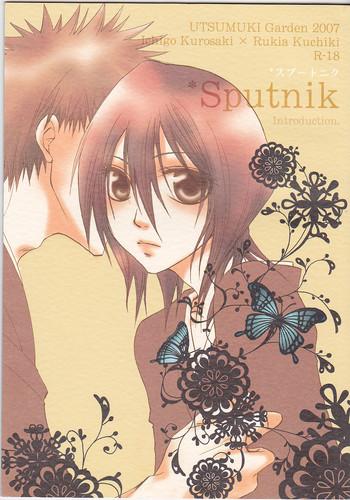 sputnik introduction cover