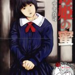 dokuhime no mitsu reboot cover