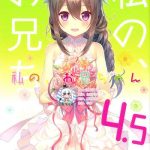 watashi no onii chan 4 5 bangaihen cover