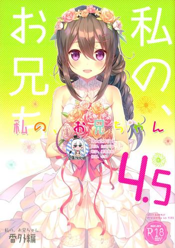 watashi no onii chan 4 5 bangaihen cover