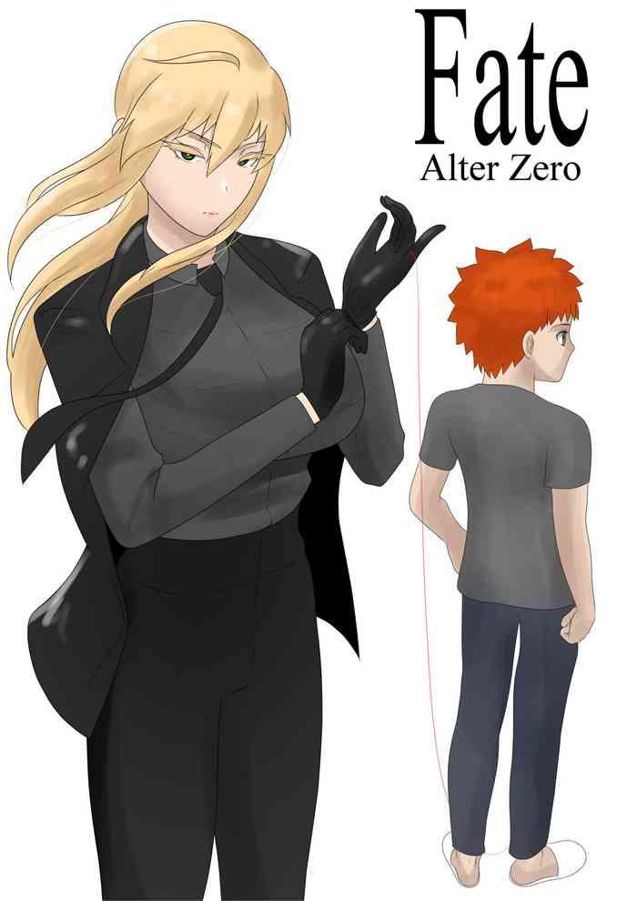 fate alter zero cover