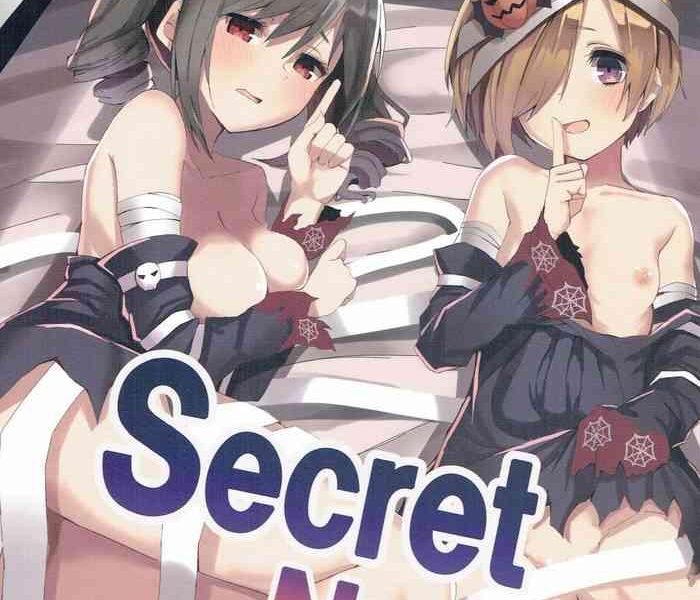 secret night cover